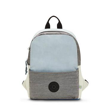 Multicolor Kipling Sonnie 15" Laptop Bags | 384162IKF