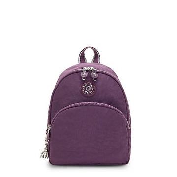 Purple Kipling Paola Small Backpacks | 719560TAY