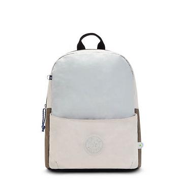 Silver Grey Kipling Sonnie 15" Laptop Bags | 937624AZJ