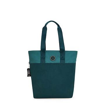 Turquoise Kipling Hanifa 15" Laptop Bags | 604379BPN