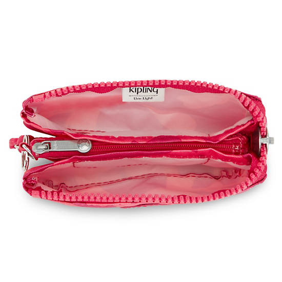 Coral Kipling Creativity Small Printed Accessories | 560478GYP