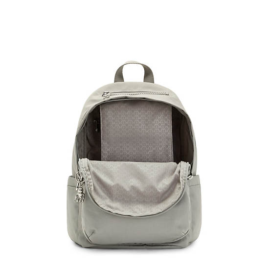 Grey Kipling Delia Backpacks | 147689JYB