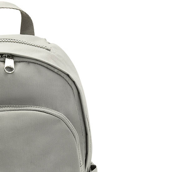 Grey Kipling Delia Backpacks | 147689JYB