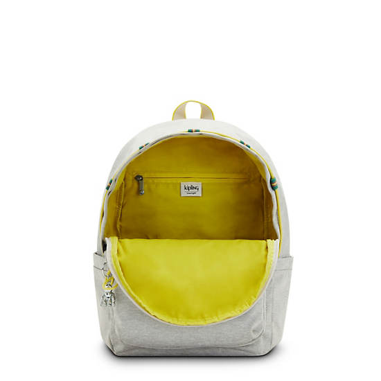 Grey Kipling Delia Classic Backpacks | 385091BWA