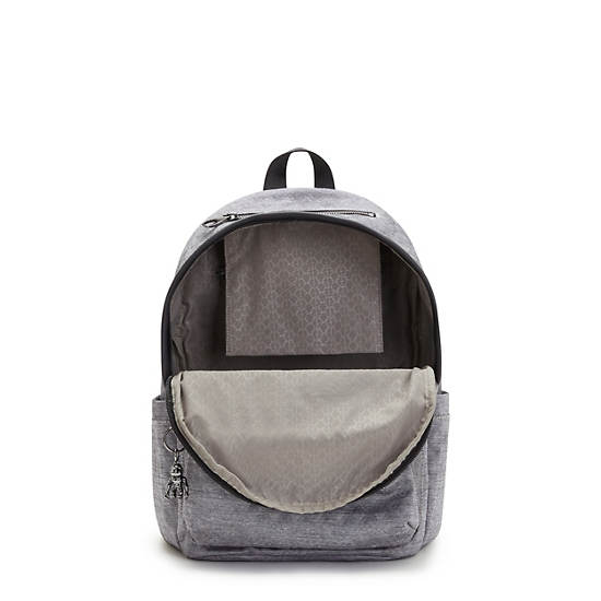 Grey Kipling Delia Classic Backpacks | 769348XKO