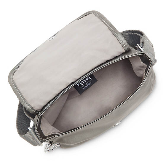 Grey Metal Kipling Sabian Metallic Crossbody Mini Bag | 764913BHV