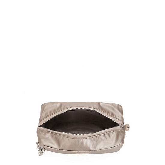 Metal Kipling Gleam Metallic Accessories | 691803JCM