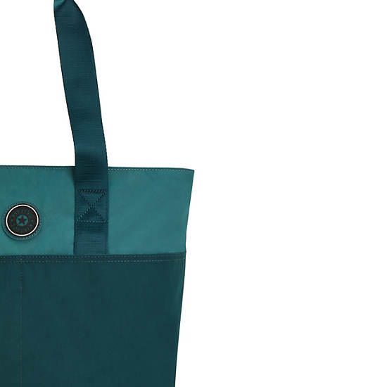 Turquoise Kipling Hanifa 15