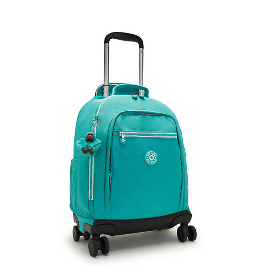 Turquoise Kipling New Zea 15